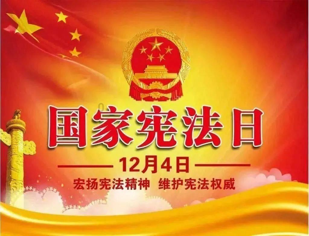 救援小袋熊